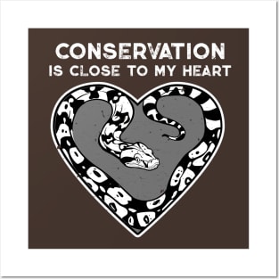 Boa Constrictor Conservation Heart Posters and Art